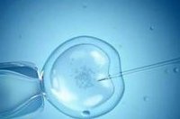 试管婴儿胚胎移植成功怀孕后可不可以吃西瓜？试管移植成功后能吃西瓜吗？