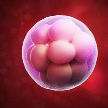 试管婴儿移植没你想的那么复杂，只需五步就能轻松搞定