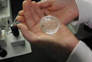 2026年女艾滋病患者在运城做试管可以实现吗？流程步骤解析和注意事项